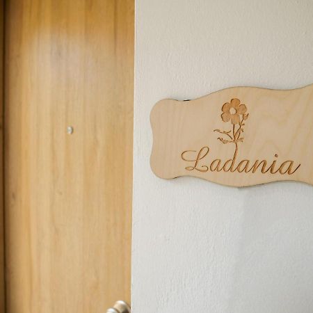 Sisaion Suites - Live The Cretan Hospitality Metokhion Apisiana Exterior foto